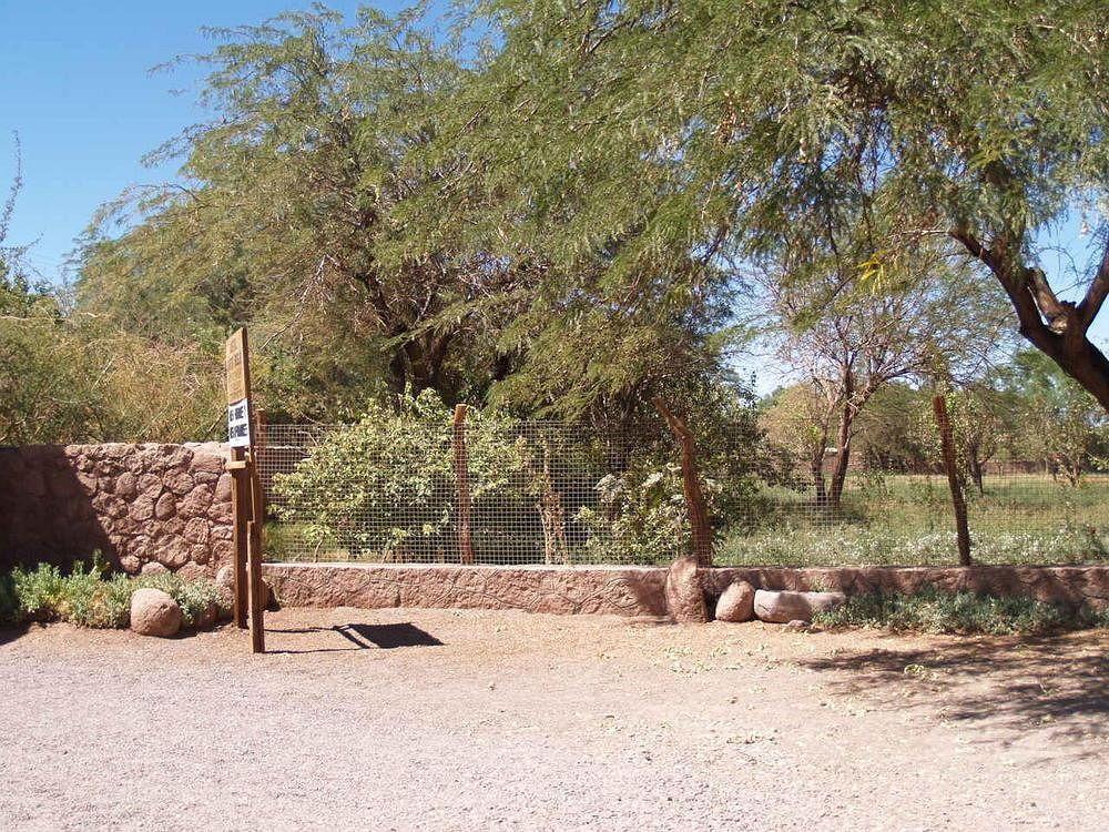 סן פדרו דה אטקאמה Quinta Adela Bed & Breakfast מראה חיצוני תמונה