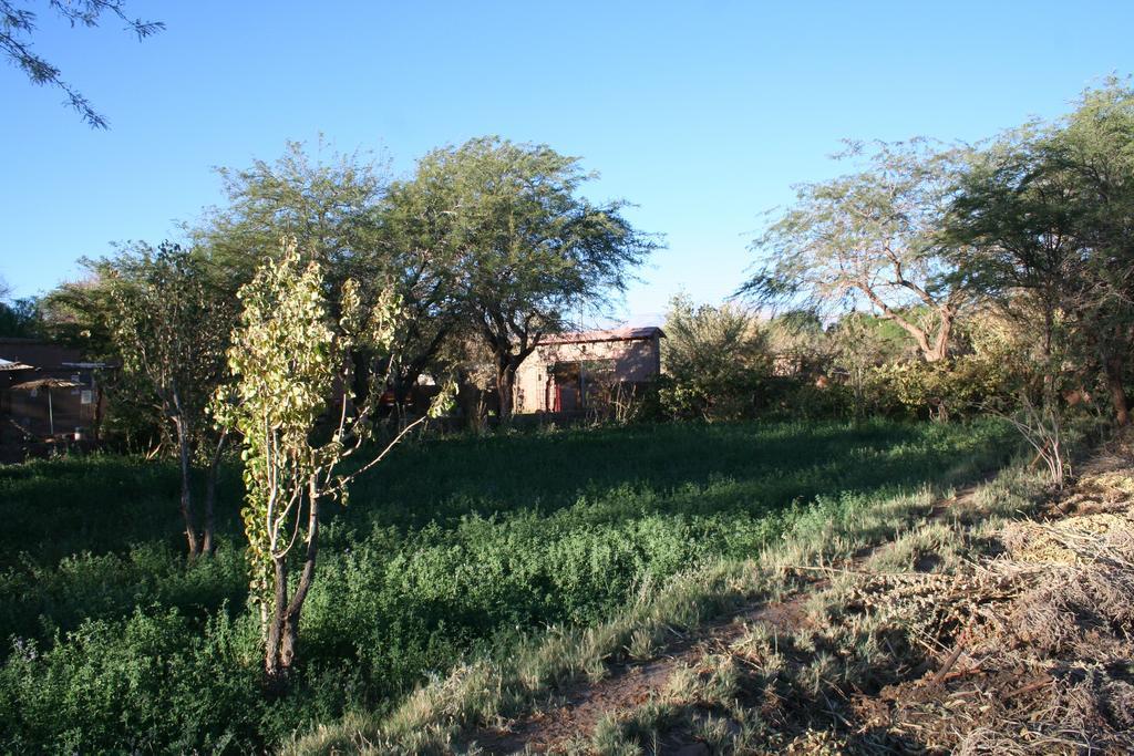 סן פדרו דה אטקאמה Quinta Adela Bed & Breakfast מראה חיצוני תמונה