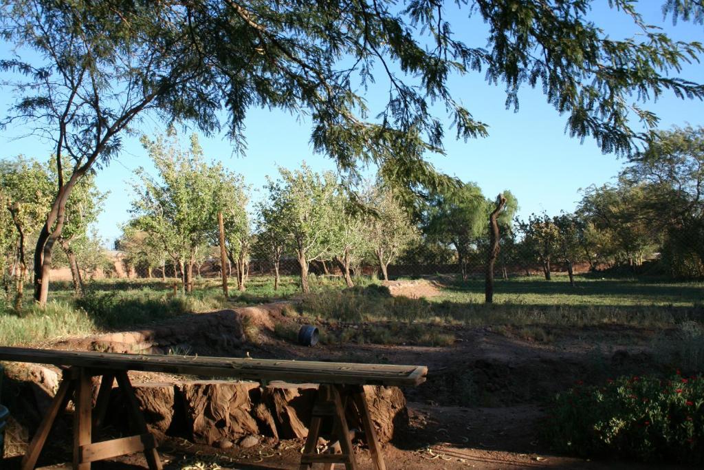 סן פדרו דה אטקאמה Quinta Adela Bed & Breakfast מראה חיצוני תמונה