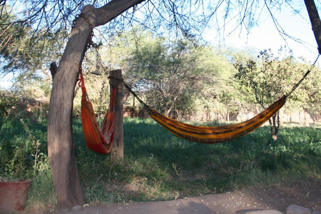 סן פדרו דה אטקאמה Quinta Adela Bed & Breakfast מראה חיצוני תמונה