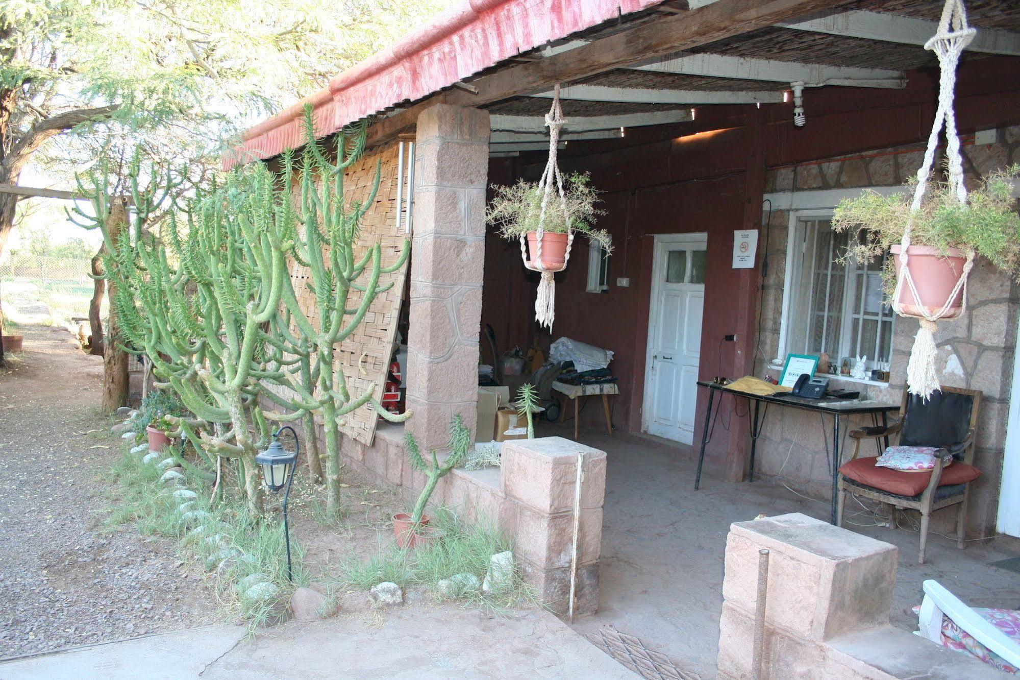 סן פדרו דה אטקאמה Quinta Adela Bed & Breakfast מראה חיצוני תמונה