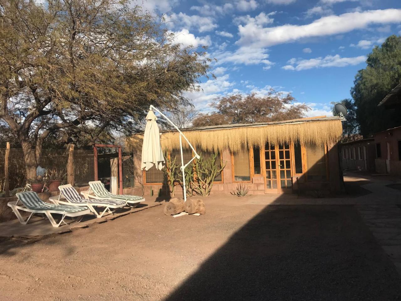 סן פדרו דה אטקאמה Quinta Adela Bed & Breakfast מראה חיצוני תמונה