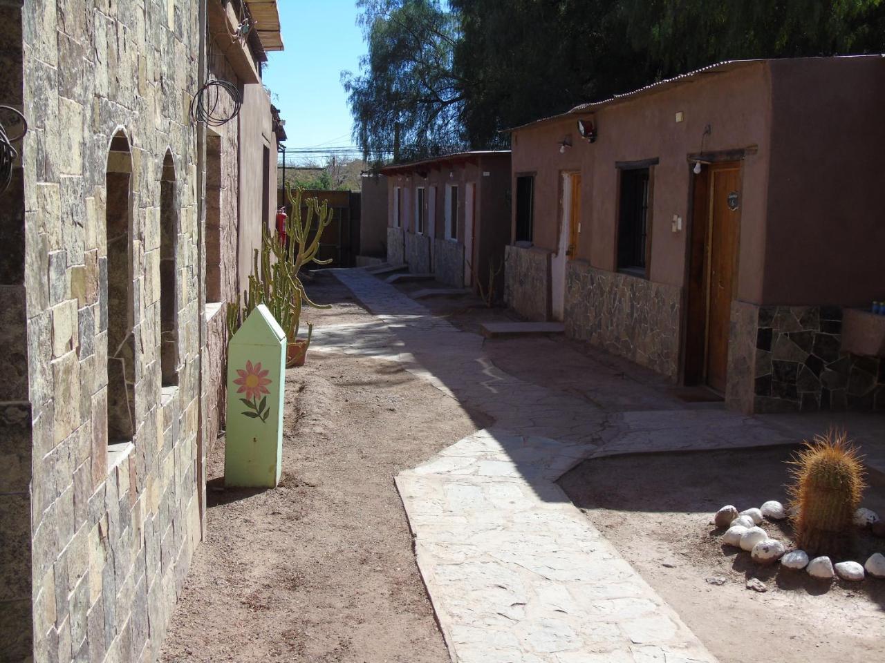 סן פדרו דה אטקאמה Quinta Adela Bed & Breakfast מראה חיצוני תמונה